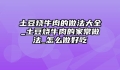 土豆烧牛肉的做法大全_土豆烧牛肉的家常做法_怎么做好吃