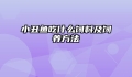 小丑鱼吃什么饲料及饲养方法