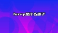 furry是什么圈子