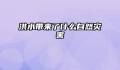 洪水带来了什么自然灾害