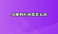 乌龟身长水霉怎么办