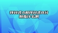 拜日式A和拜日式B分别指什么啊