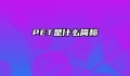 PET是什么简称