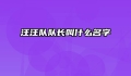 汪汪队队长叫什么名字