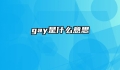 gay是什么意思