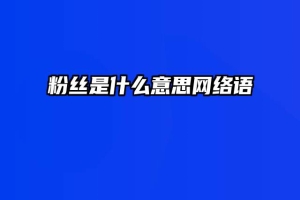 粉丝是什么意思网络语